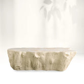 Clayhill Irregular Shape Coffee Table Petrified Wood Cocktail Table Unique Sofa Center Tea Table