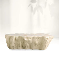 Clayhill Irregular Shape Coffee Table Petrified Wood Cocktail Table Unique Sofa Center Tea Table