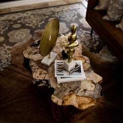 Clayhill Irregular Shape Coffee Table Petrified Wood Cocktail Table Unique Sofa Center Tea Table
