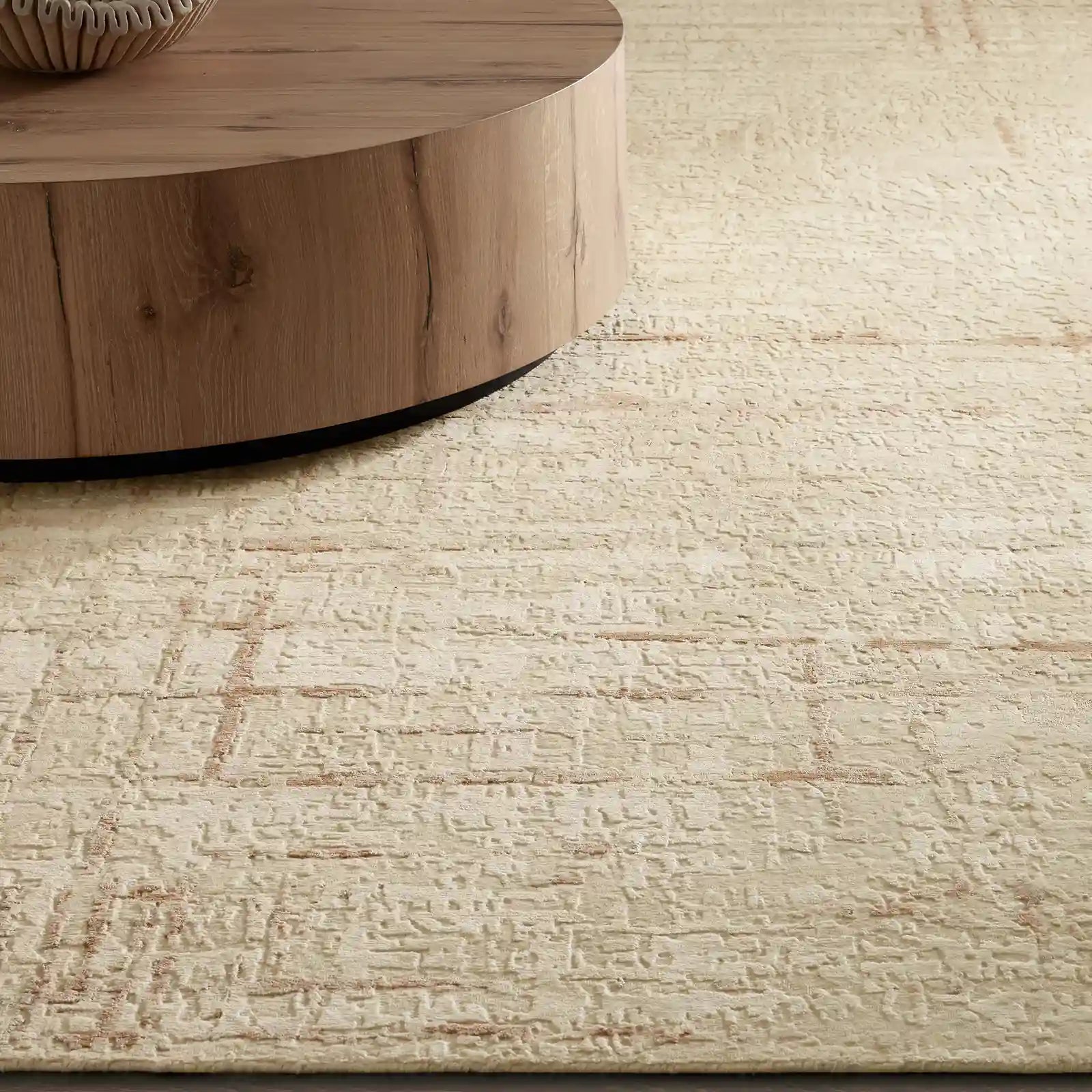 Wylie Hand-Knotted Area Rug Rectangular Washable Living Rooms Carpet
