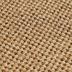 Falora Performance Polypropylene Yarn Rug Indoor-Outdoor Handwoven Carpet