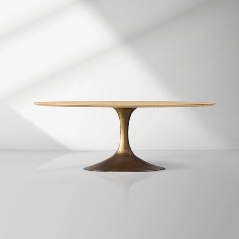 Aero Mid-Century Modern Oval Dining Table with Steel Base