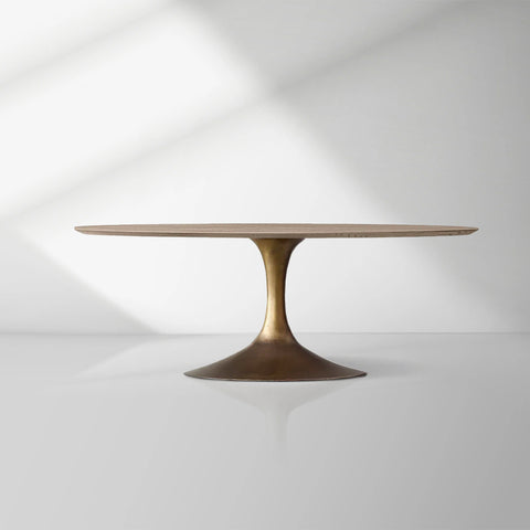 Aero Mid-Century Modern Oval Dining Table with Steel Base