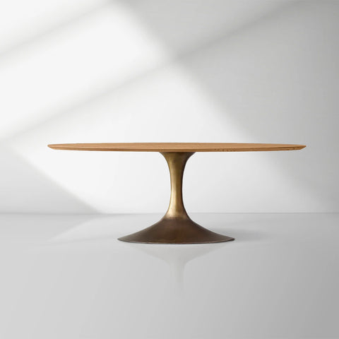 Aero Mid-Century Modern Oval Dining Table with Steel Base