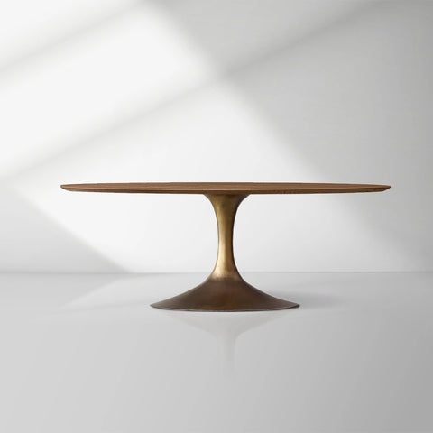 Aero Mid-Century Modern Oval Dining Table with Steel Base