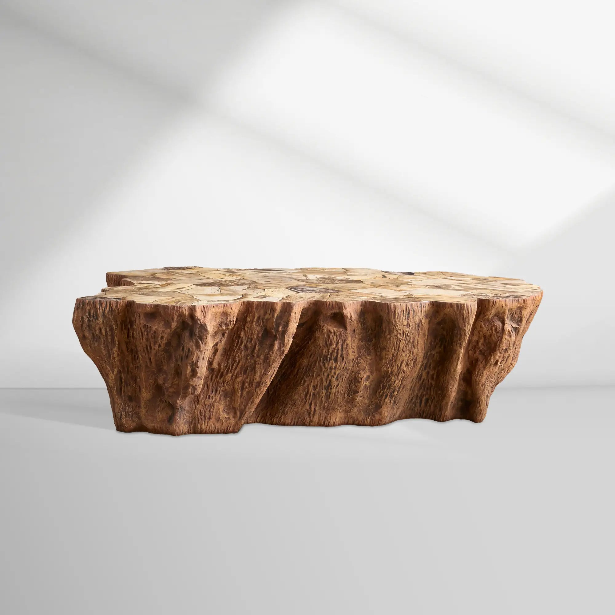 Clayhill Irregular Shape Coffee Table Petrified Wood Cocktail Table Unique Sofa Center Tea Table