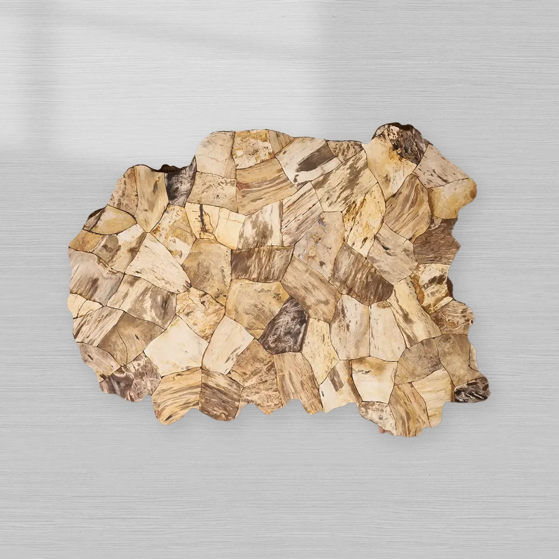 Clayhill Irregular Shape Coffee Table Petrified Wood Cocktail Table Unique Sofa Center Tea Table