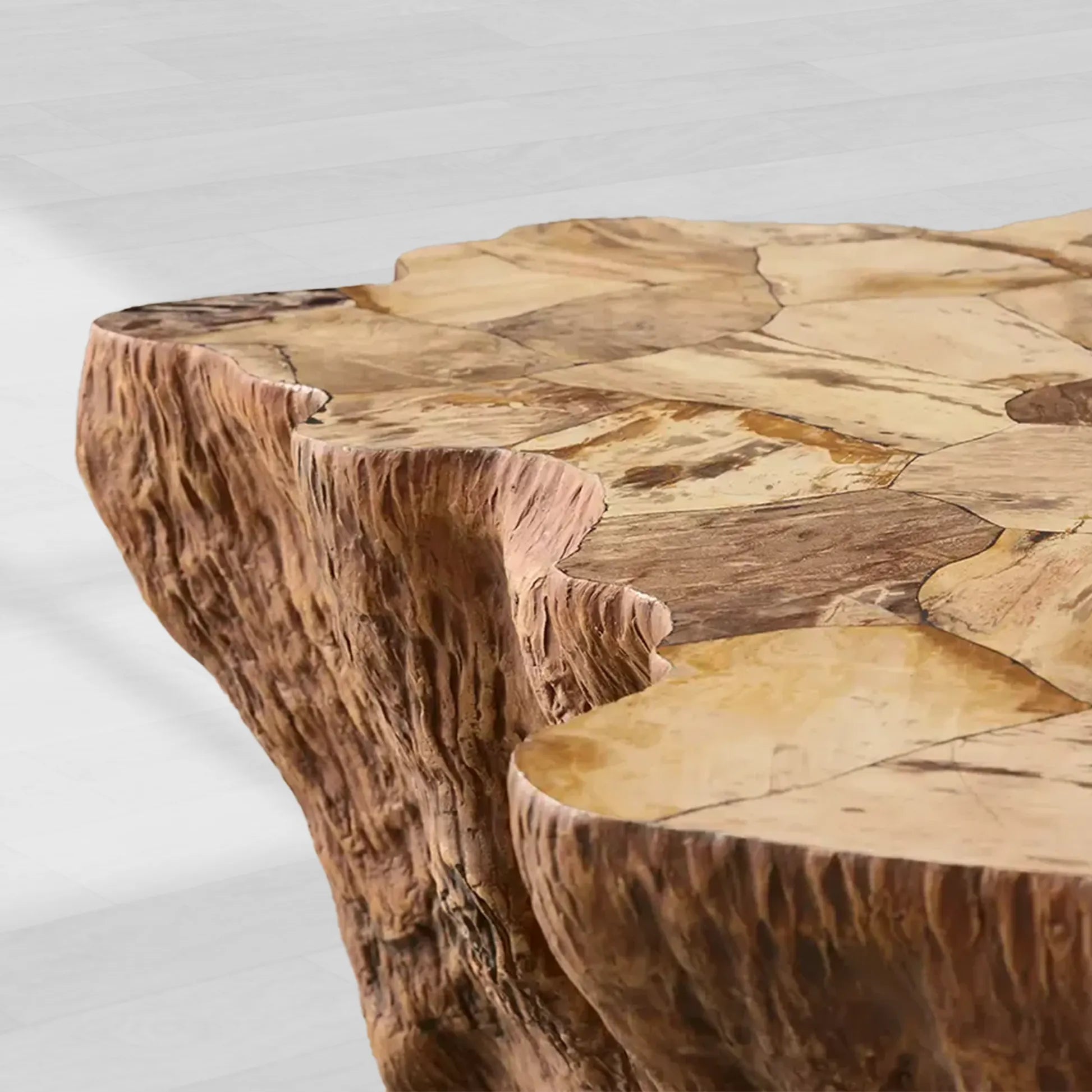 Clayhill Irregular Shape Coffee Table Petrified Wood Cocktail Table Unique Sofa Center Tea Table
