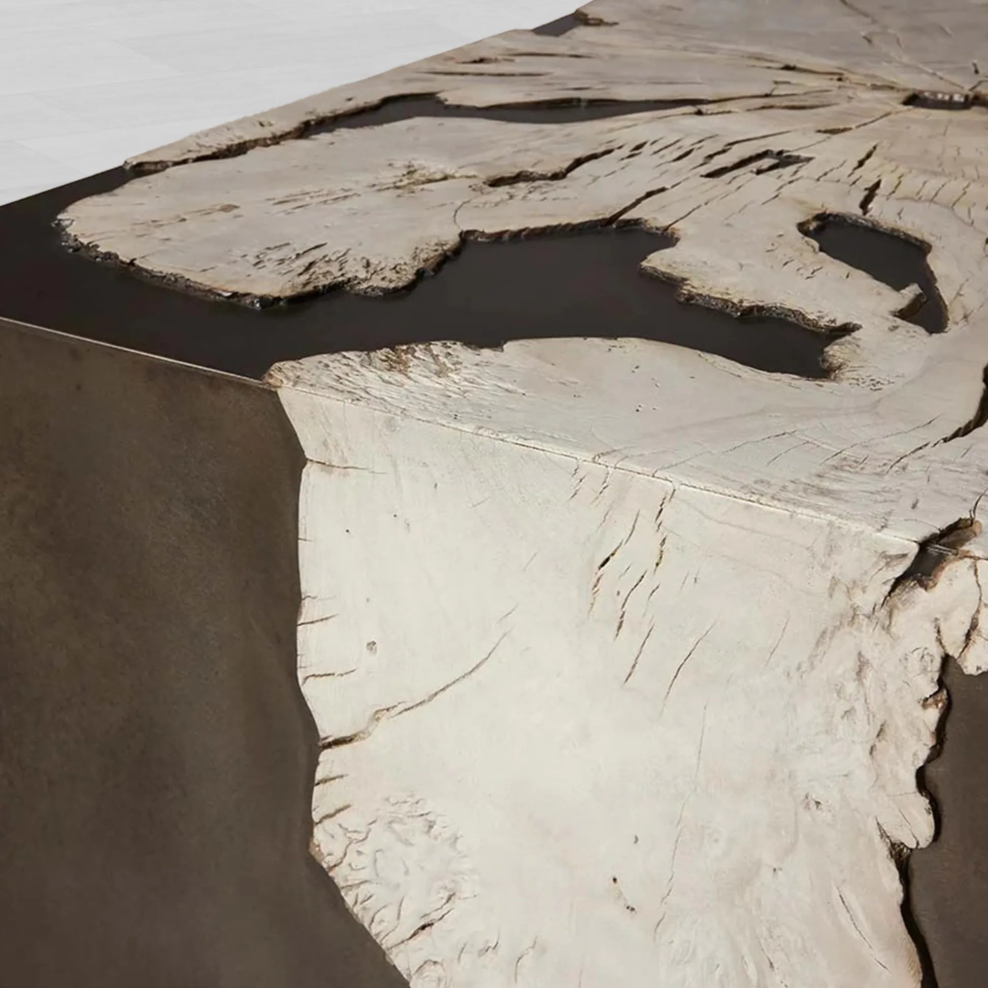 Obra Salvaged Burl Coffee Table Living Room Steel Base Cocktail Table Wood Center Tea Table