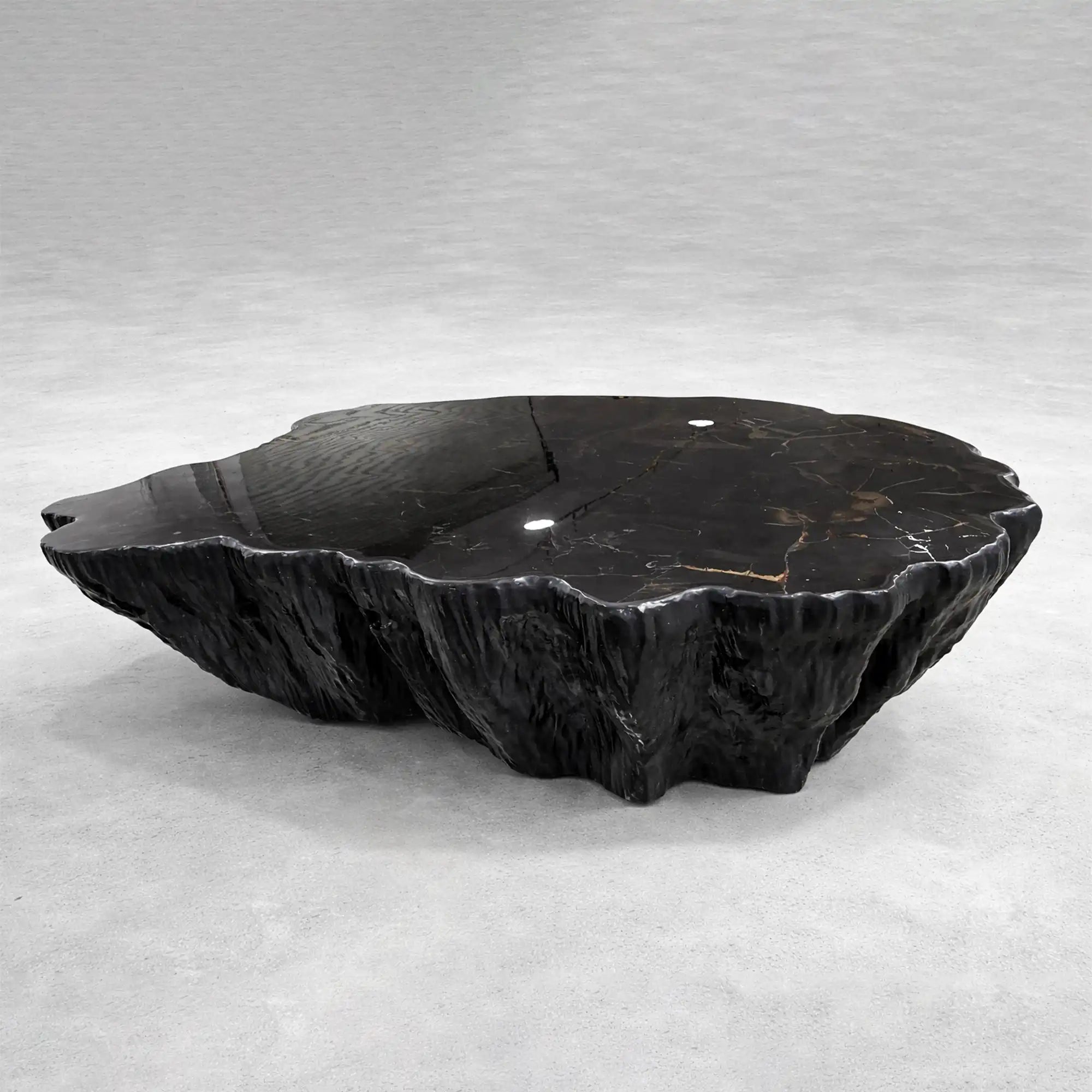 Clayhill Irregular Shape Coffee Table Petrified Wood Cocktail Table Unique Sofa Center Tea Table
