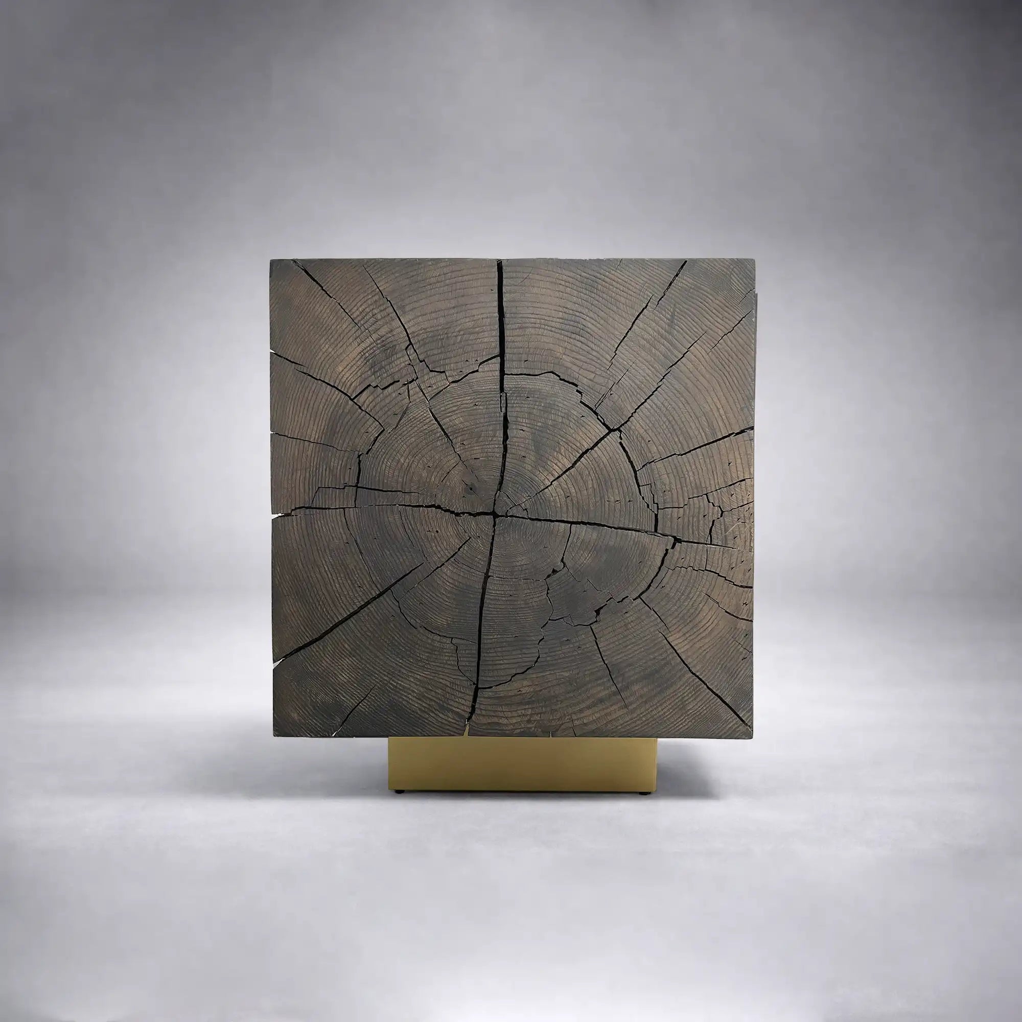 Mihaela Oak Media Console Wood Entertainment Centers Cabinet Retro TV Stands