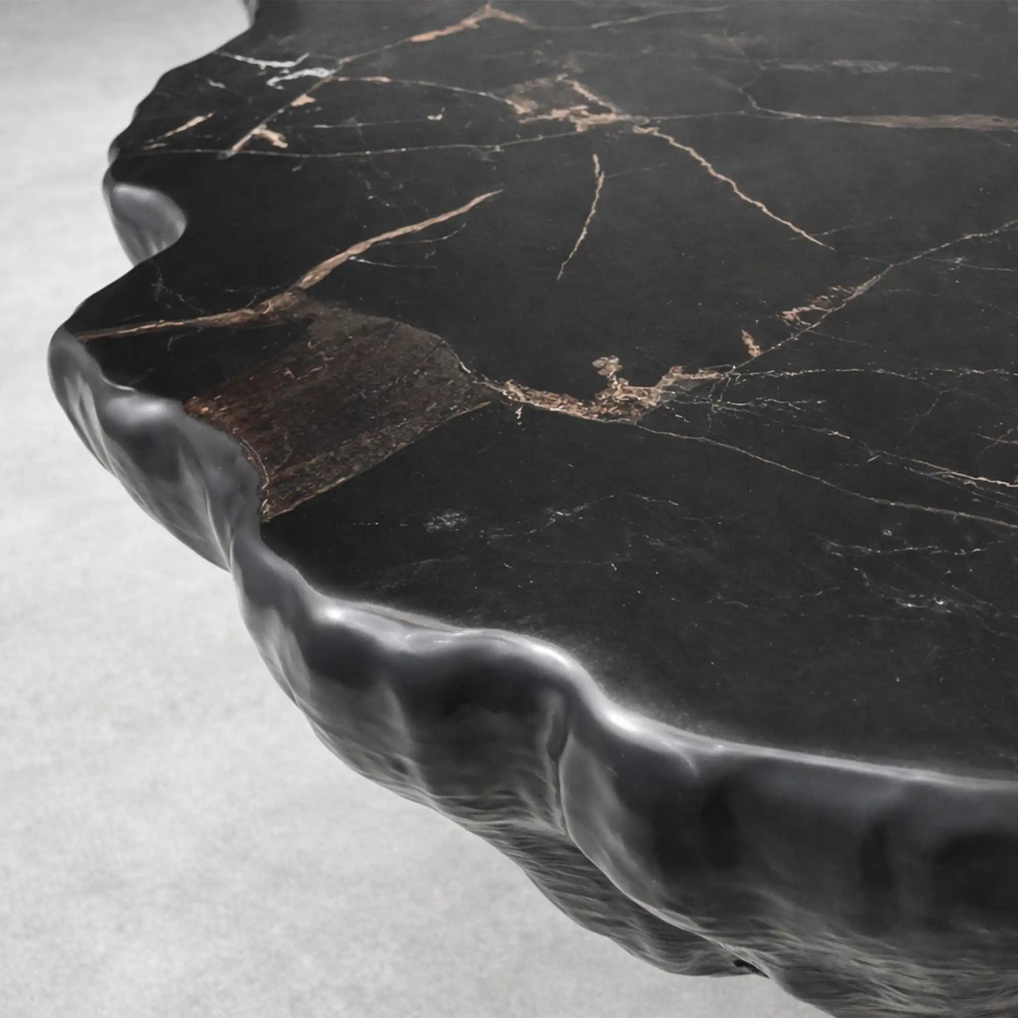 Clayhill Irregular Shape Coffee Table Petrified Wood Cocktail Table Unique Sofa Center Tea Table