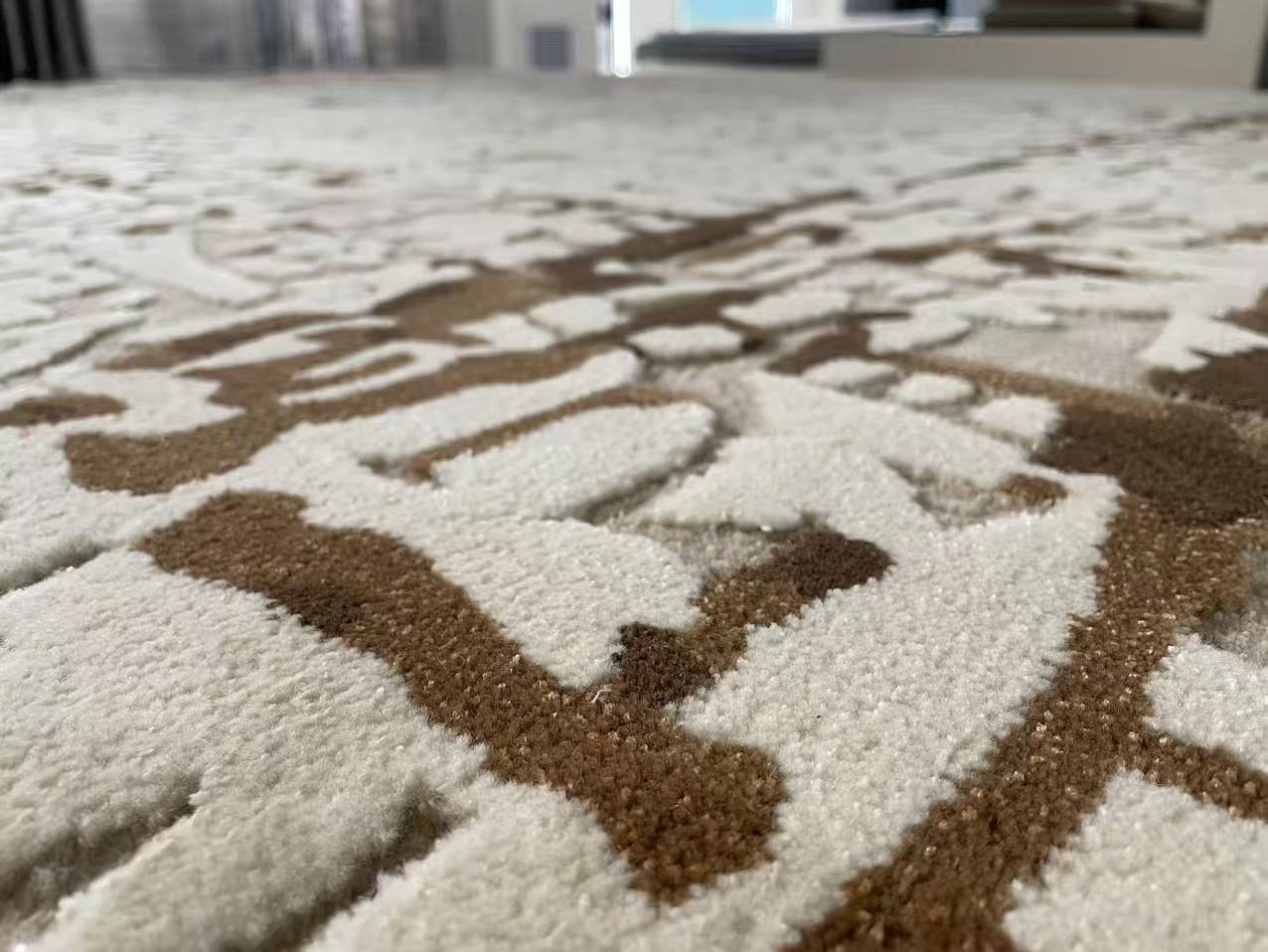 Wylie Hand-Knotted Area Rug Rectangular Washable Living Rooms Carpet
