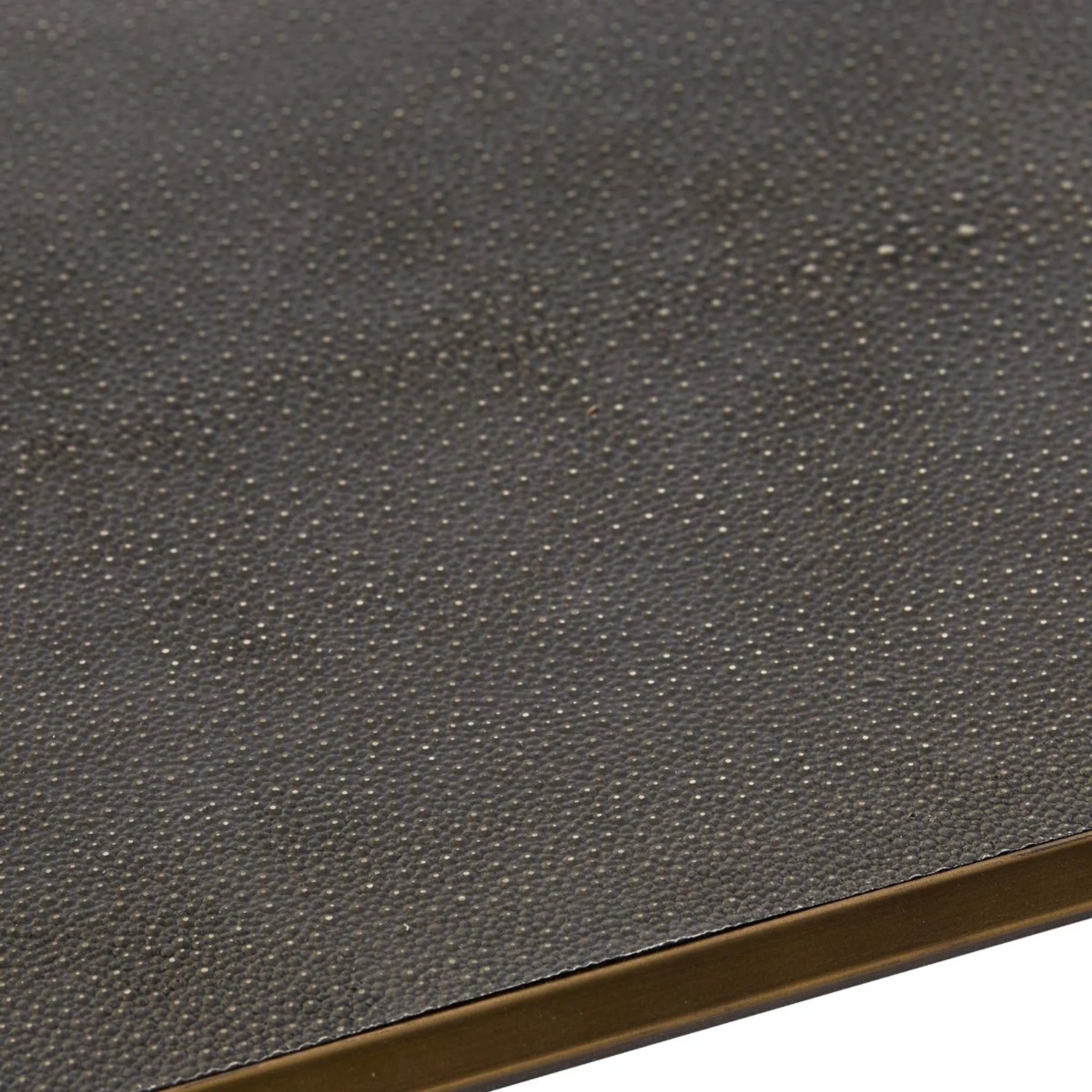 Max Rectangular Glass Coffee Table Faux Shagreen Living Room Center Tea Table