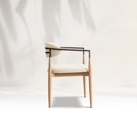 Arnod Fabric Dining Chair Mid-Century Modern Armchair