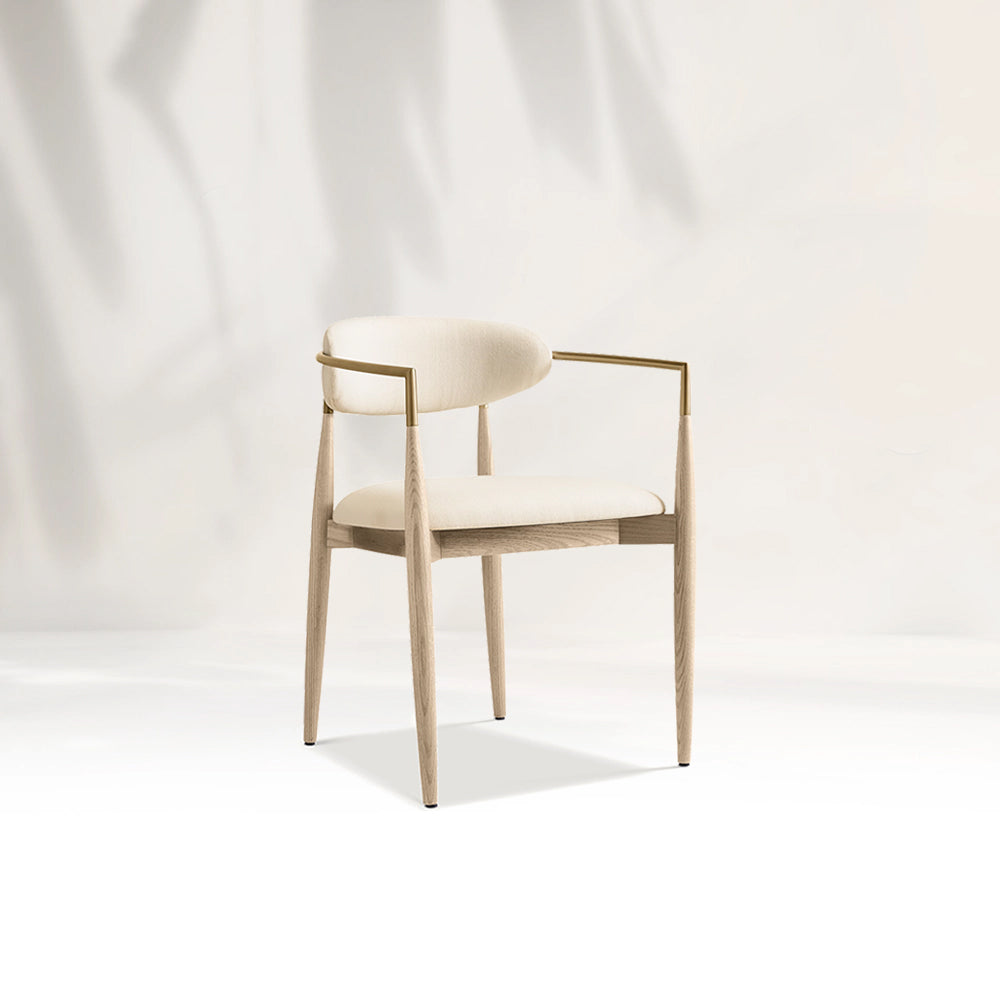 Arnod Fabric Dining Chair Mid-Century Modern Armchair