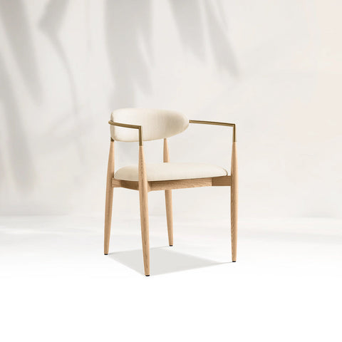 Arnod Fabric Dining Chair Mid-Century Modern Armchair