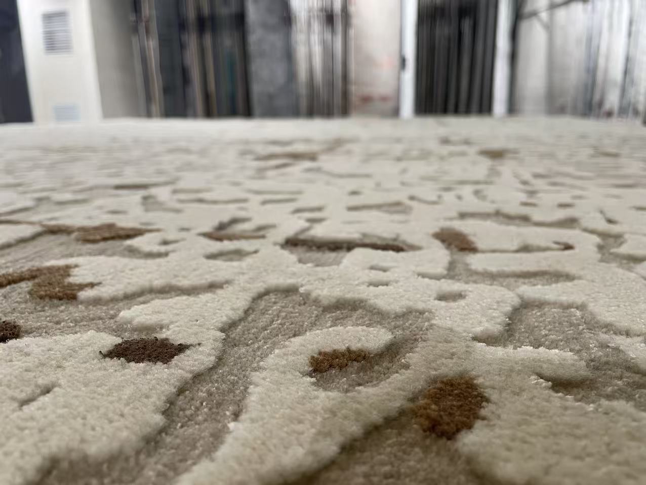 Wylie Hand-Knotted Area Rug Rectangular Washable Living Rooms Carpet