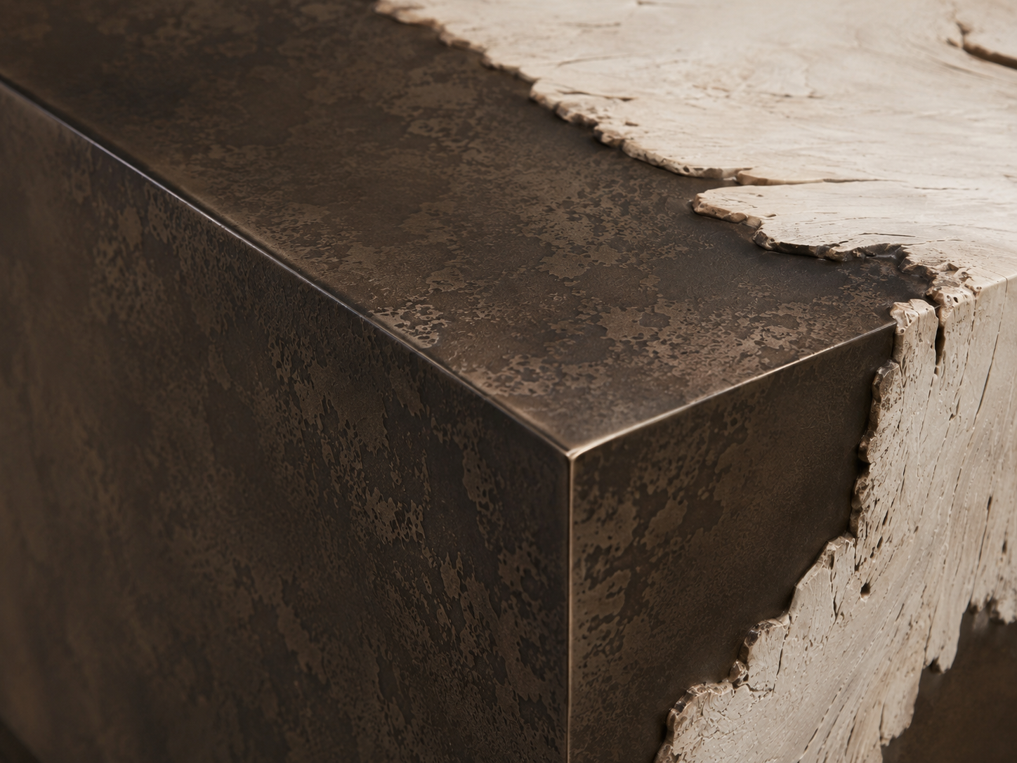 Obra Salvaged Burl Coffee Table Living Room Steel Base Cocktail Table Wood Center Tea Table