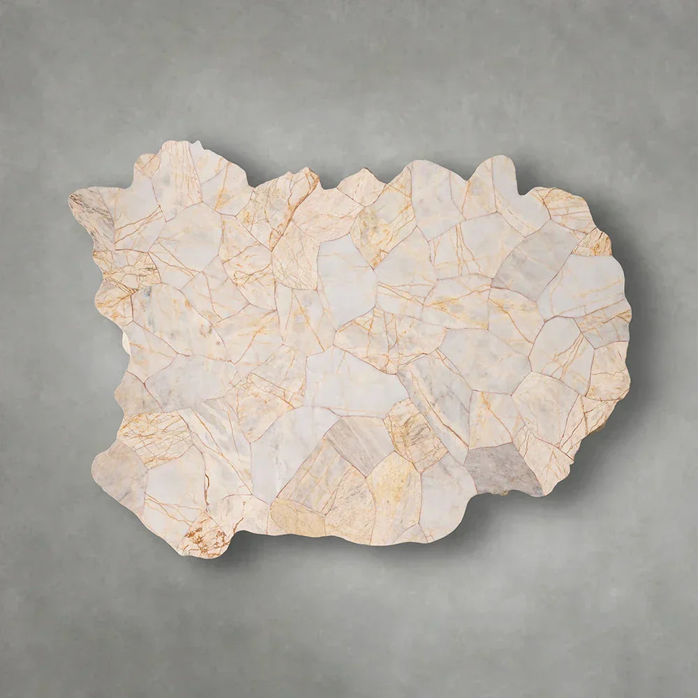 Clayhill Irregular Shape Coffee Table Petrified Wood Cocktail Table Unique Sofa Center Tea Table