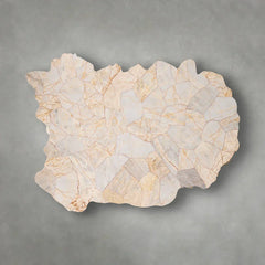 Clayhill Irregular Shape Coffee Table Petrified Wood Cocktail Table Unique Sofa Center Tea Table