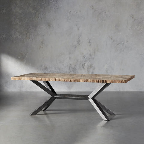 Petra Rectangle Dining Table marble & Petrified Wood Top with Iron Base